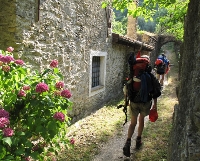 Sul sentiero degli alpini Sul sentiero degli alpini