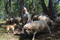 La vita dei pastori/Ra vita di pastùu