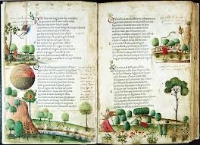 Francesco Petrarca (1304 – 1374) - da "Il Canzoniere"