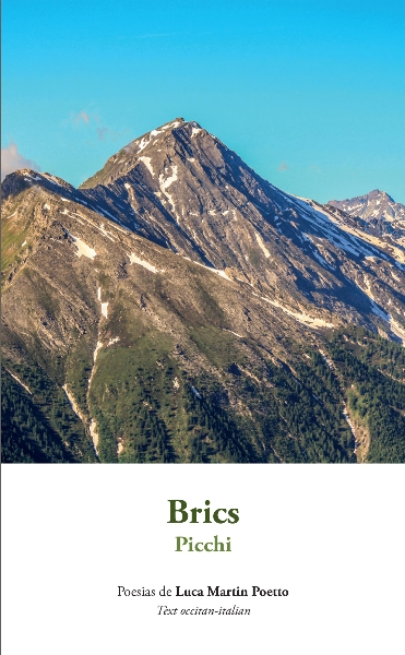 "Brics - Picchi" poesie di Luca Martin Poetto- Presentazione