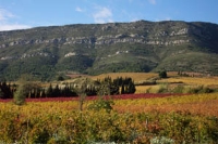 TAPPA 43 - DA CARCASSONNE A MONZE