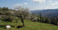 TAPPA 29 - DA FLORAC A BARRE DES CÉVENNES