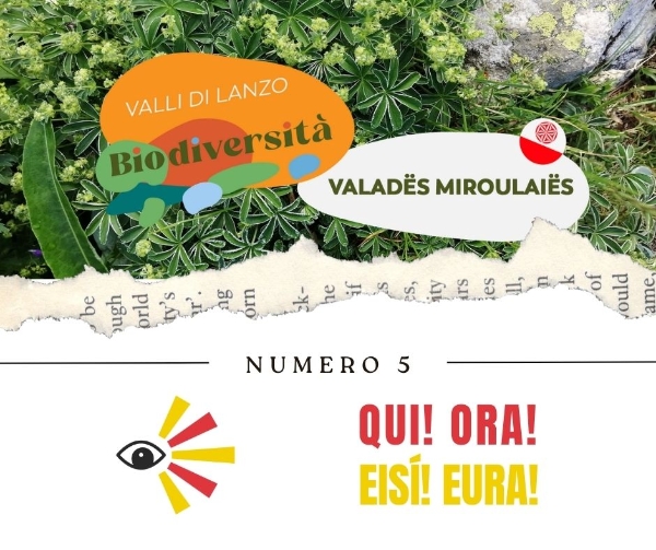 PUNTATA NUMERO 5Natura, biodiversità: un ecosistema da proteggere PUNTATA NUMERO 5Natura, biodiversità: un ecosistema da proteggere