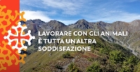 Da la Val Po a la Val Cluson e Germanascha. 13- Lavorare con gli animali