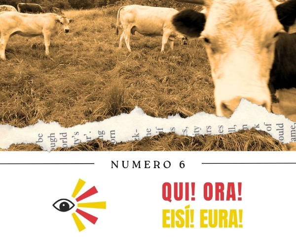 PUNTATA NUMERO 6 Pietre, case, uomini e animali PUNTATA NUMERO 6 Pietre, case, uomini e animali